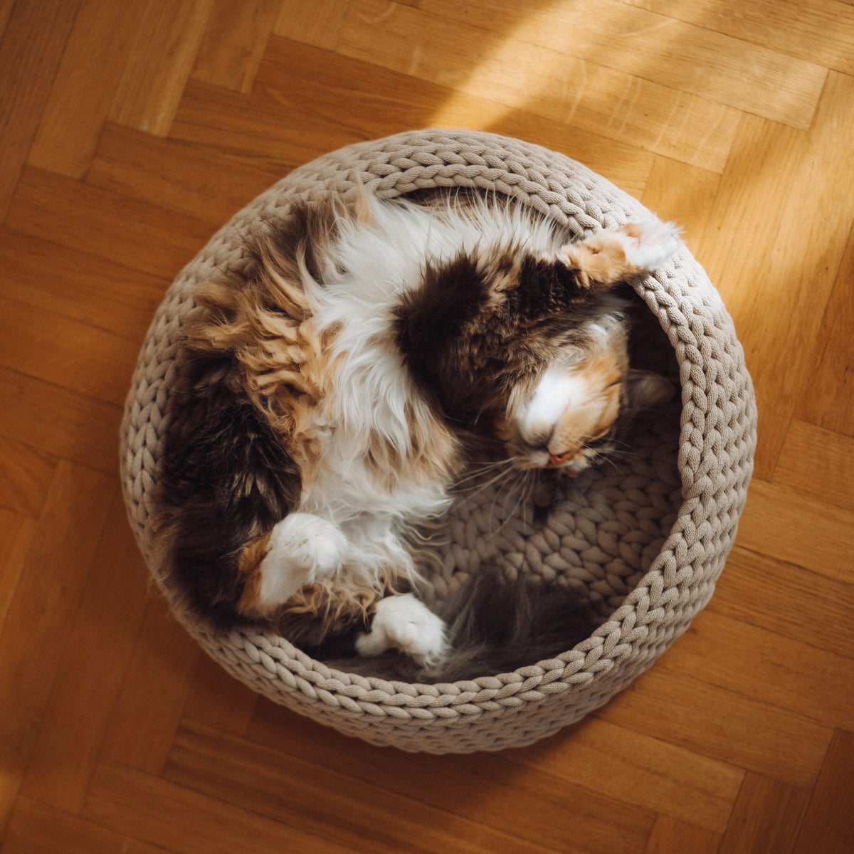 Outlet: BASKET Cat Bed