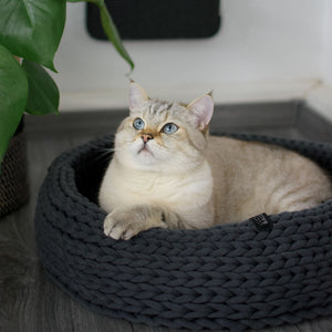 Outlet: BASKET Cat Bed