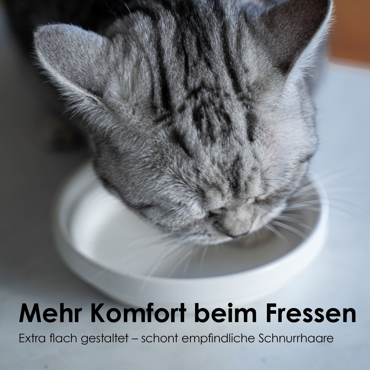 BOWL Gamelle en porcelaine