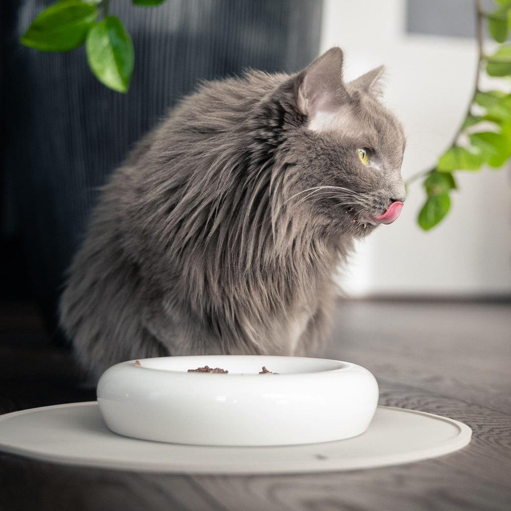 CIRCLE onderlegger in taupe, grijze langharige kat likt zich na het eten de lippen af