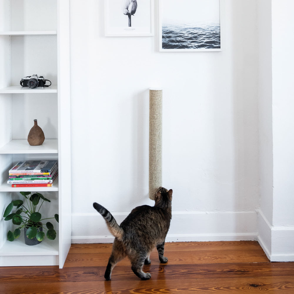 Griffoir monté pour le chat