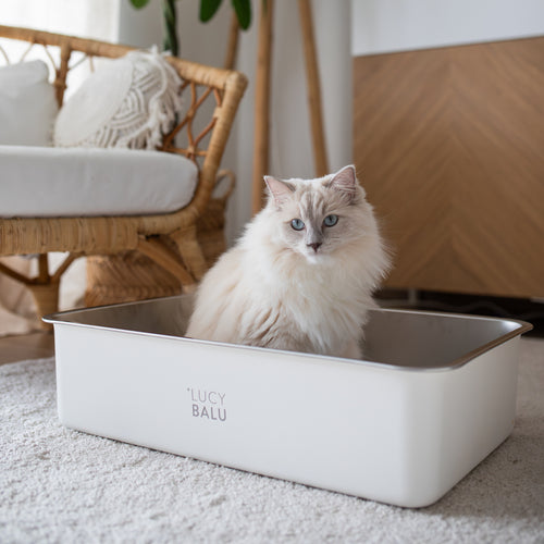 STEELOO stainless steel litter box