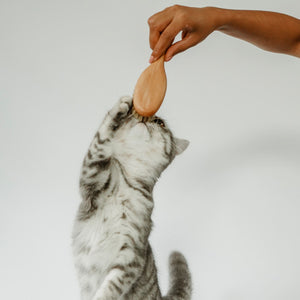 FIGARO Brosse pour chat