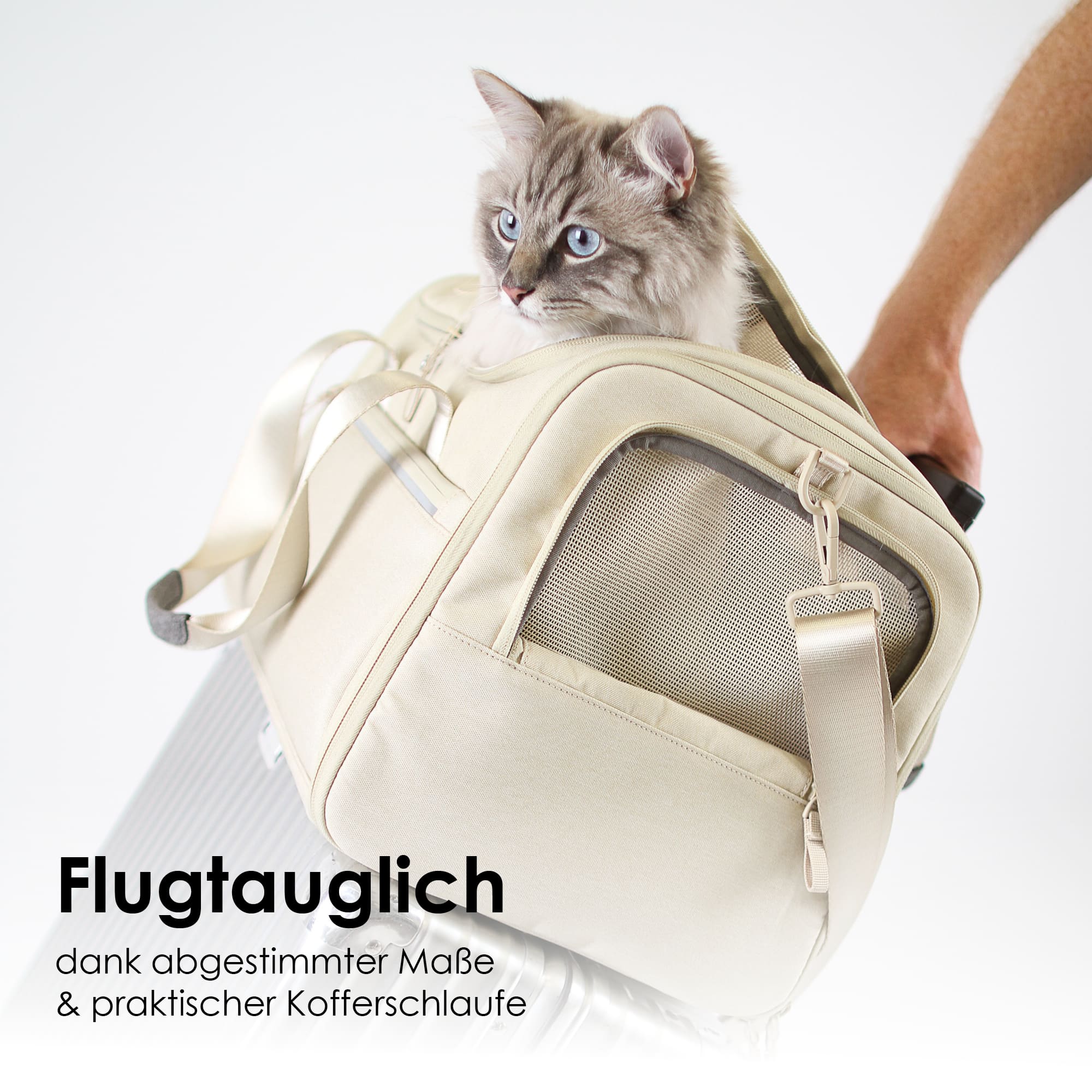 CHECK-IN Katzentransporttasche