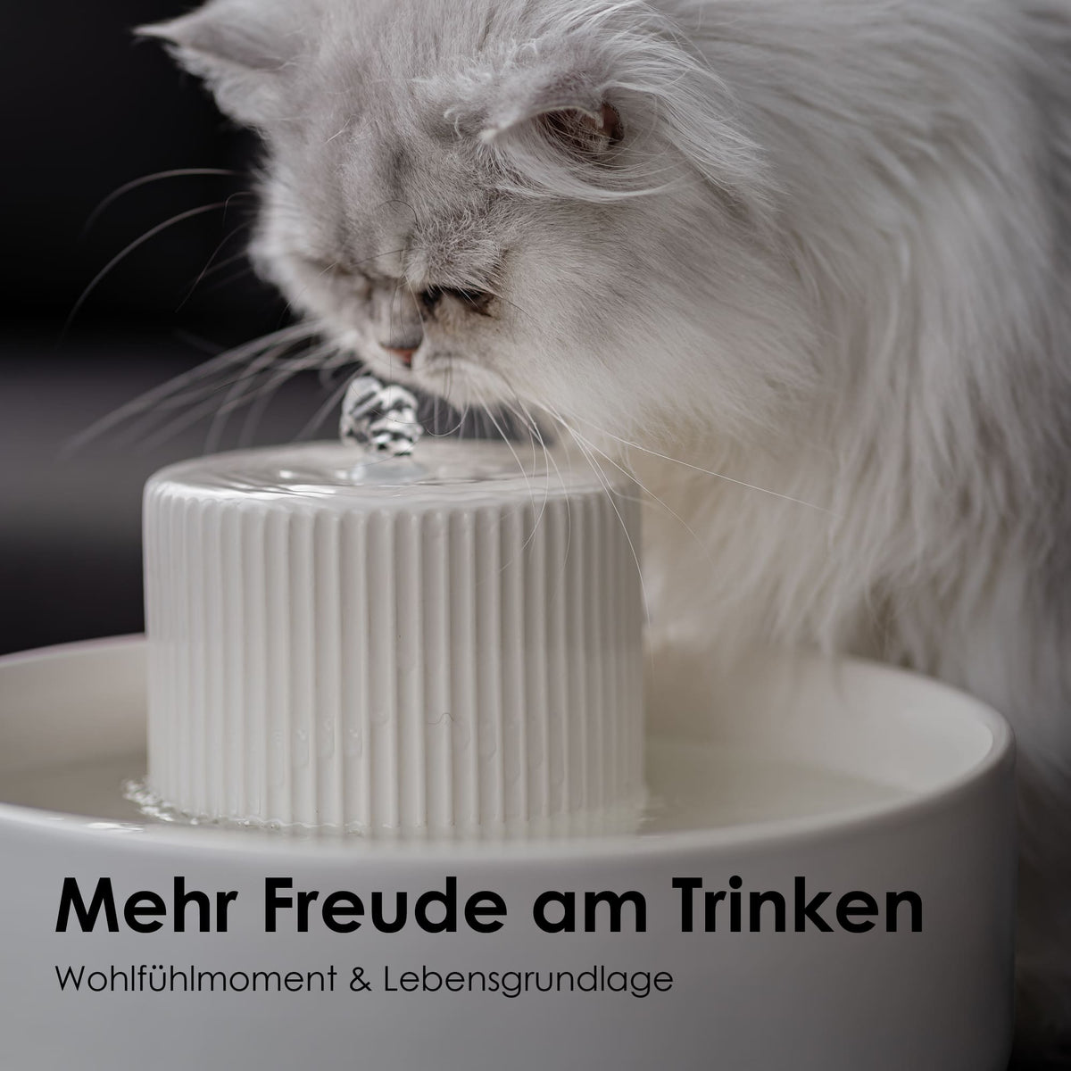 TREVI Trinkbrunnen