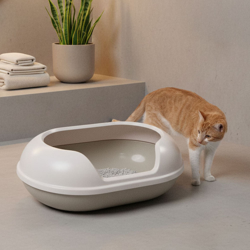 Rode kat kijkt nieuwsgierig in de grote ARENA kattenbak van gerecycled kunststof
