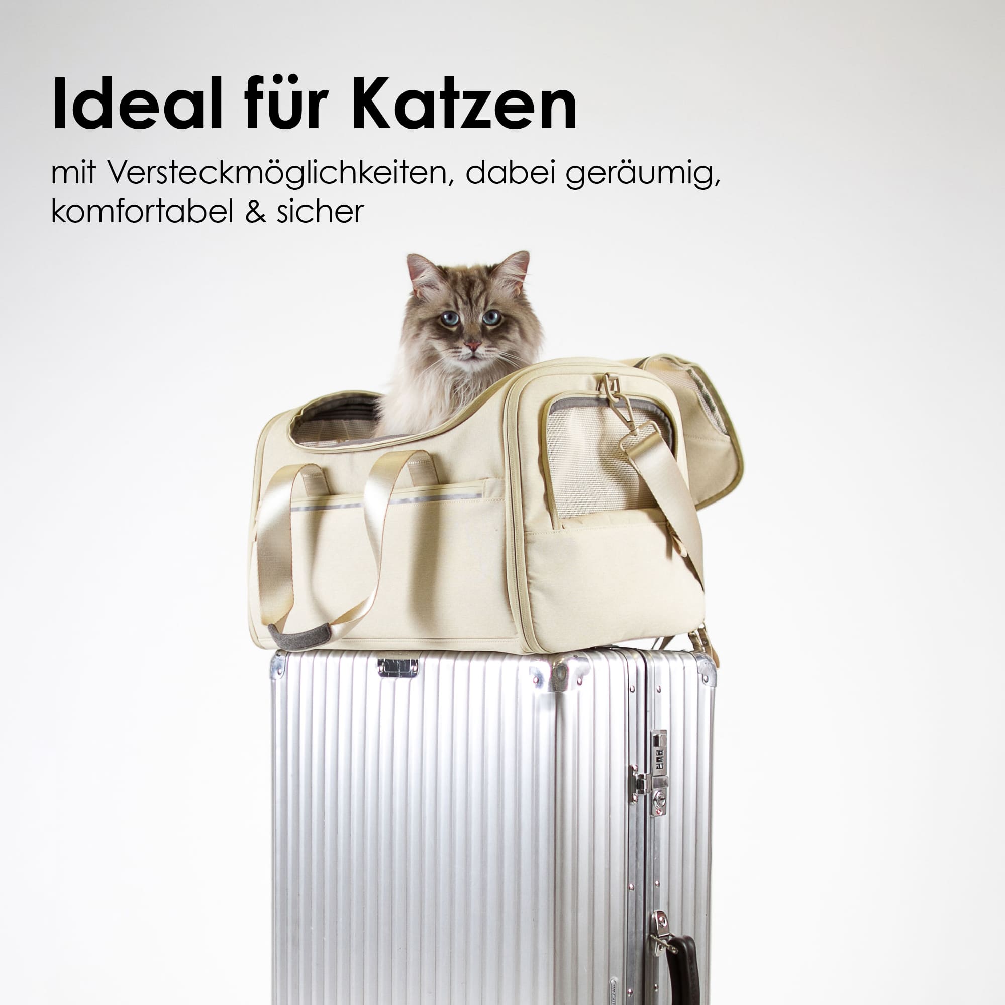 CHECK-IN Transporttasche
