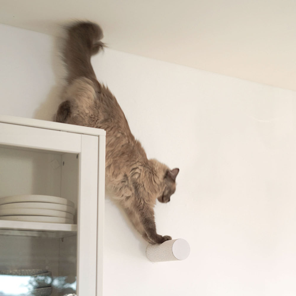 Griffoir mural JUMPER LITE en blanc, un chat sautant d'une armoire sur le griffoir