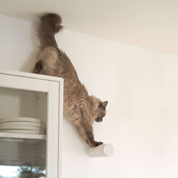 Griffoir mural JUMPER LITE en blanc, un chat sautant d'une armoire sur le griffoir