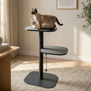 PEAK Scratching post