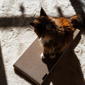 WALLPAPER cardboard scratching board