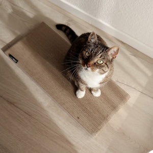 WALLPAPER cardboard scratching board