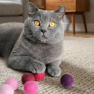 VIVA MAGENTA Balles en feutre