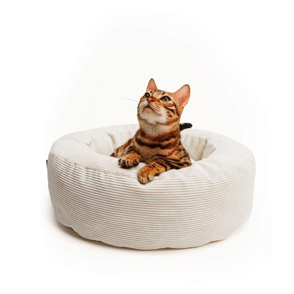 Lit pour chat NEST en sable, un chat Bengal allongé attentivement dans le lit douillet en velours côtelé