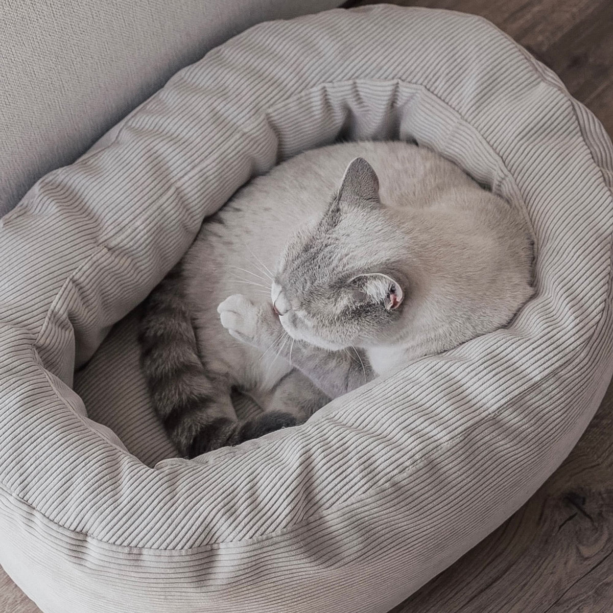 DINGHY Kattenbed