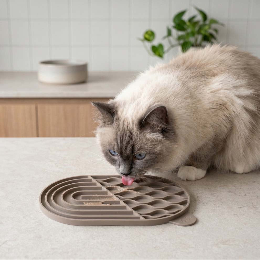 ZENPAD likmat in taupe, Ragdoll kat likt genietend in de keuken