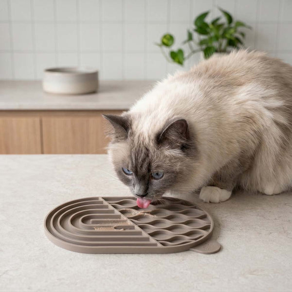 ZENPAD Schleckmatte in Taupe, Ragdoll-Katze schleckt genüsslich in der Küche