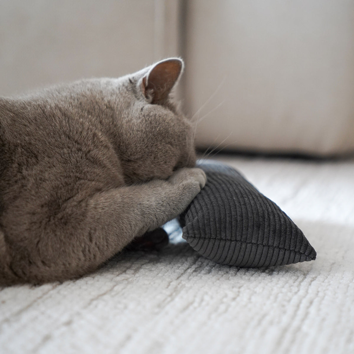 Graue Katze hält längliches Cord Bunny Kick Kissen mit Katzenminze fest und beißt hinein