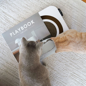 Zwei Katzen spielen auf einem weißen Kratzbrett aus Wellpappe mit rundem Kratzbereich und integriertem Ball.