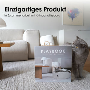 Graue Katze sitzt neben dem LucyBalu Playbook im Wohnzimmer und riecht an der Verpackung im Table Book Stil.