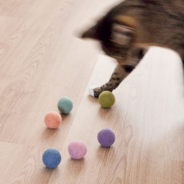 Katze spielt mit bunten RAINBOW BALLS Filzbällen auf Holzboden