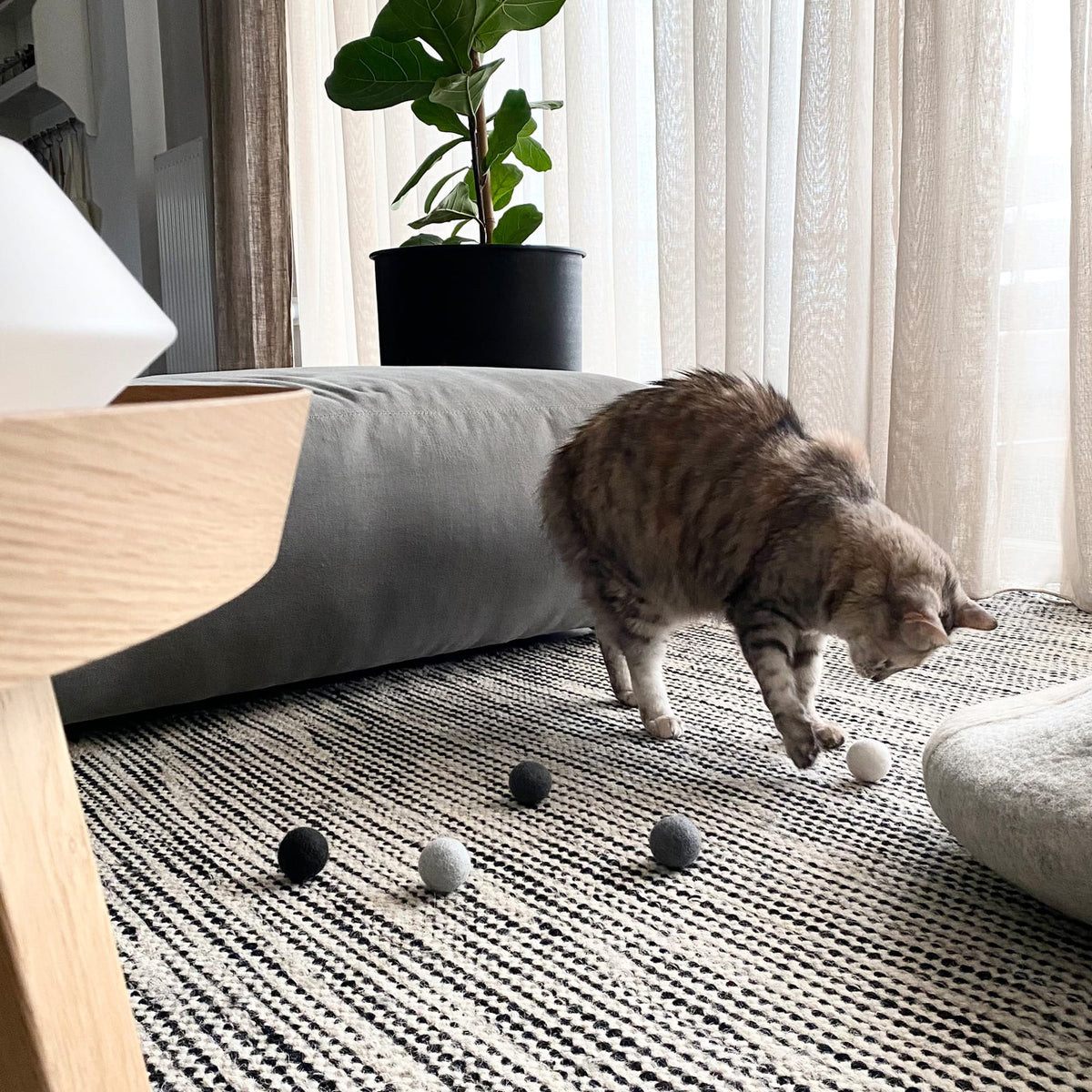 SHADES OF GREY Viltballen voor katten Set van 6