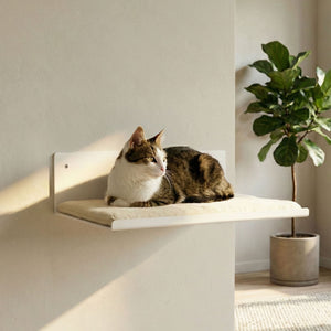 STRAIGHT Cat wall board