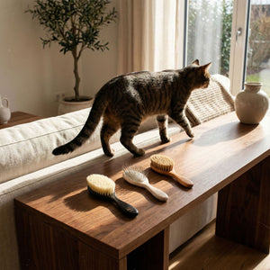 FIGARO Kattenborstel