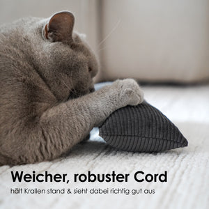 Graue Katze schnuppert an beigem Cord Spielkissen mit Katzenminze und Merinowolle Füllung