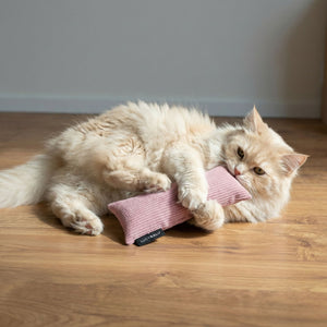 KICK BUNNY kattenspeeltje met kattenkruid