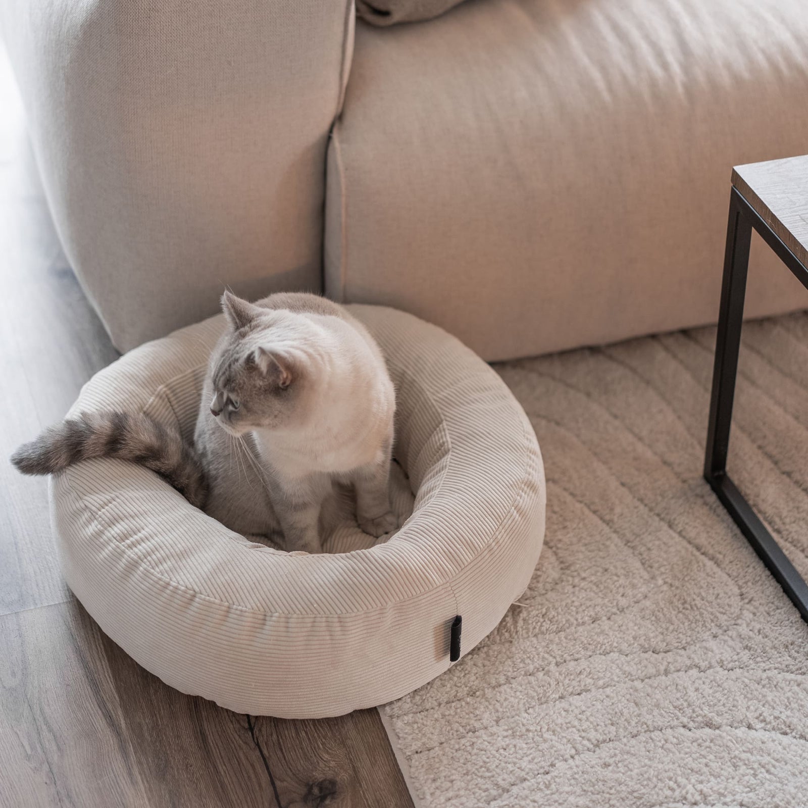 Lit pour chat NEST en sable, un chat assis à l'intérieur sur un tapis moelleux dans le salon