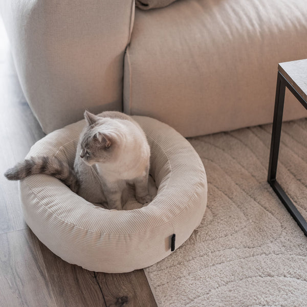 Cuccia per gatti NEST in sabbia, gatto seduto al suo interno su un tappeto soffice in soggiorno