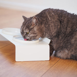 DINE Feeding Station for Cats