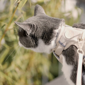 EXPLORER cat harness
