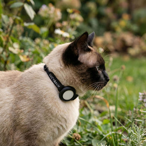 DORI Collier pour chat AirTag (nylon)