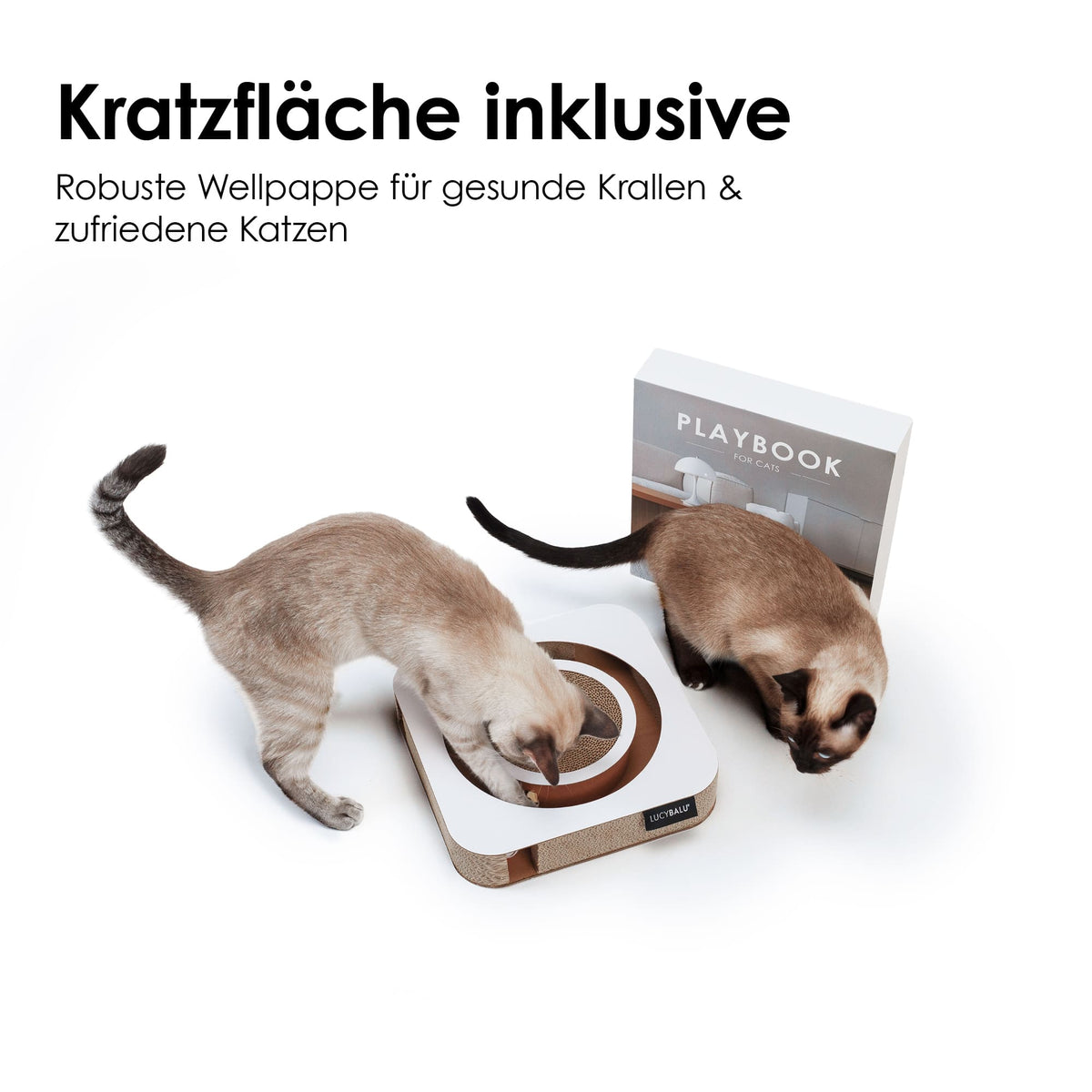 Zwei Katzen spielen an einem interaktiven Kratzbrett aus Wellpappe mit runder Kratzfläche und integriertem Ball, Verpackung im Hintergrund.