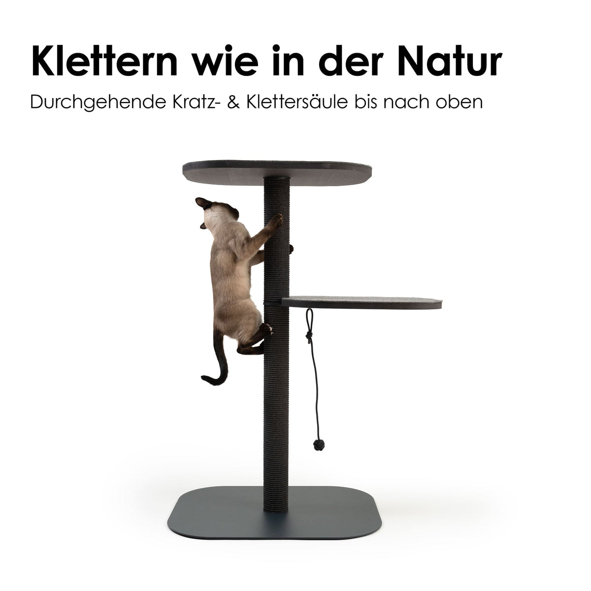 Katze klettert am robusten Sisal-Kratzstamm eines modernen Kratzbaums – Kletterspaß wie in der Natur.