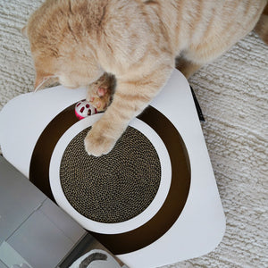 Orangefarbene Katze greift mit der Pfote in das LucyBalu Kratzbrett und bewegt den versteckten Spielball in der umlaufenden Öffnung.