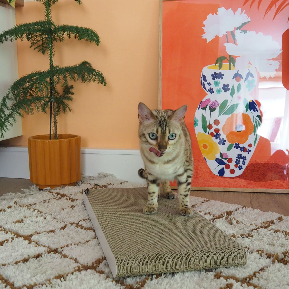 SCRATCHPAPER Kratzpappe