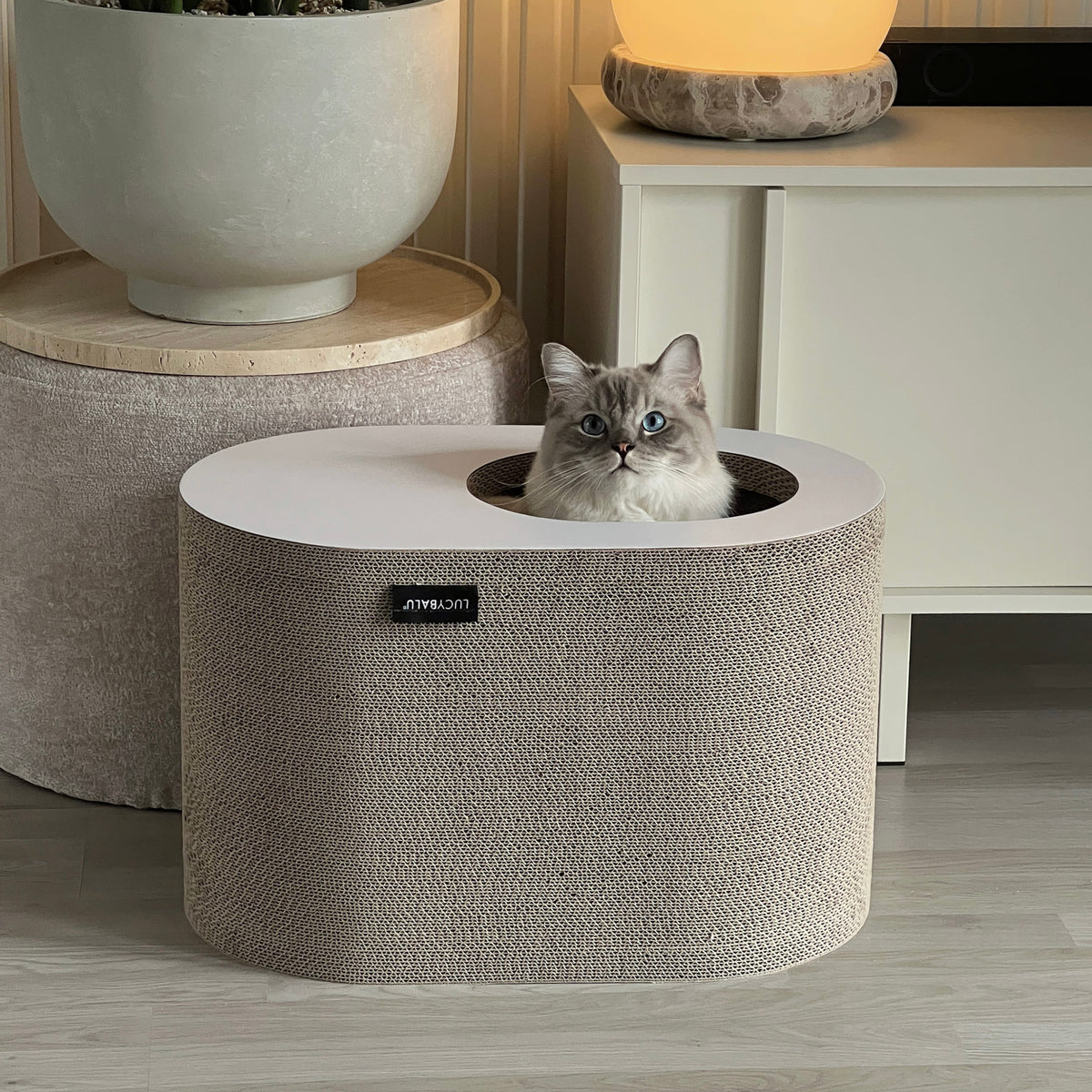 PAPERCAVE Katzenhöhle