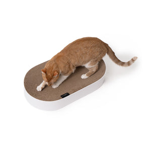 SCRATCHBED designer cardboard bed