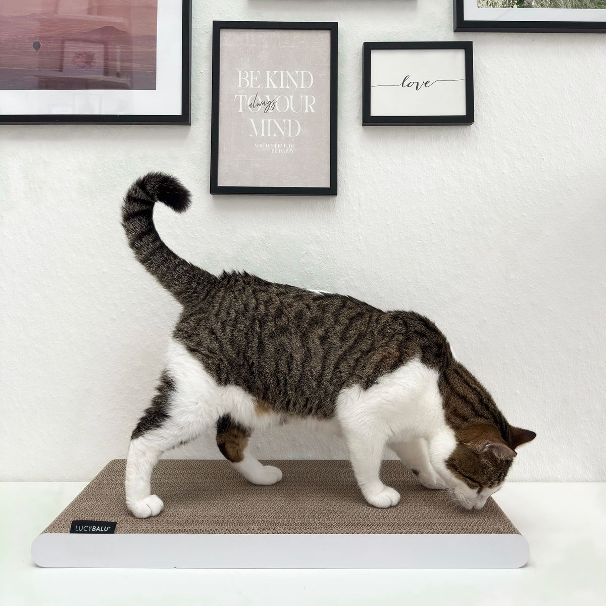 SCRATCHPAPER Kratzpappe