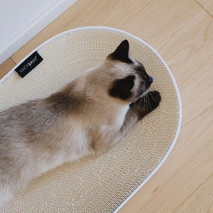 SCRATCHBED designer cardboard bed
