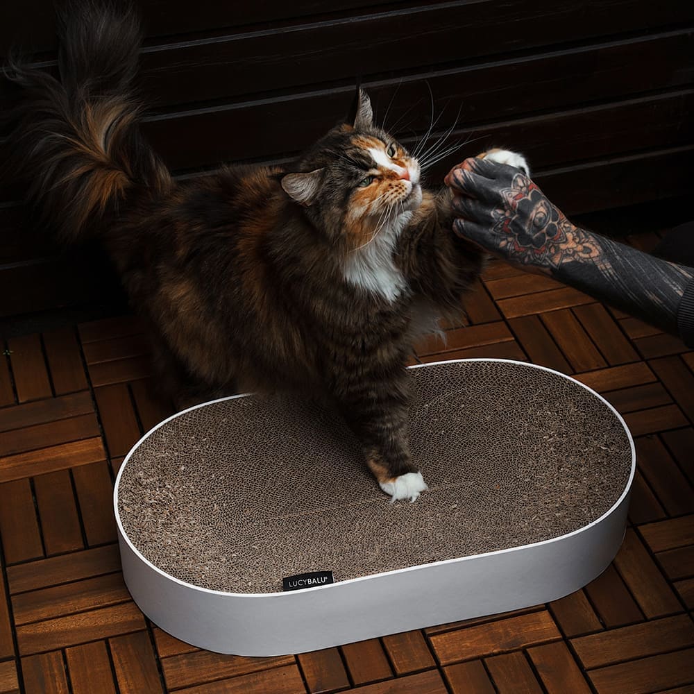 SCRATCHBED - Design kartonnen bed