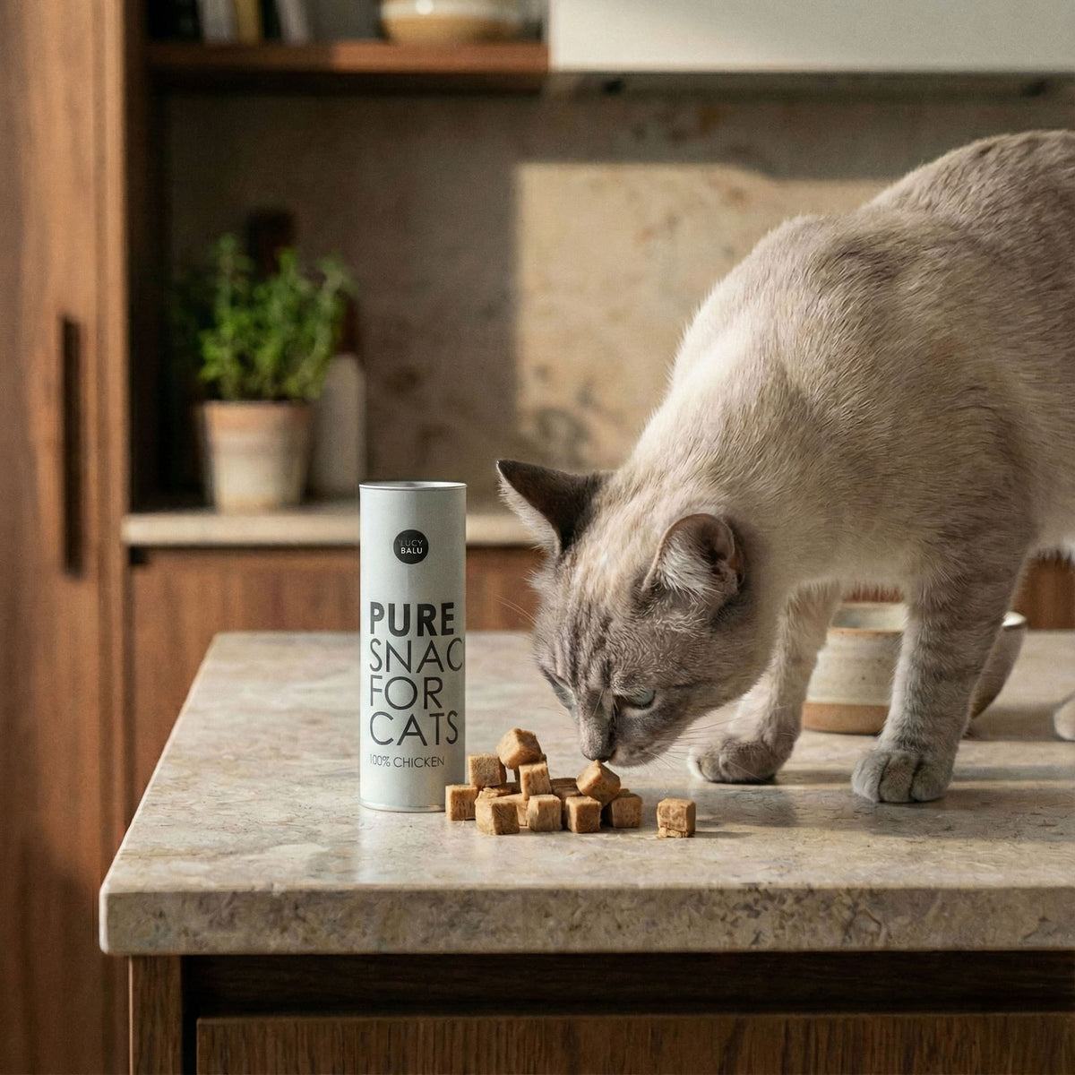 PURE Katzensnacks 6er Bundle