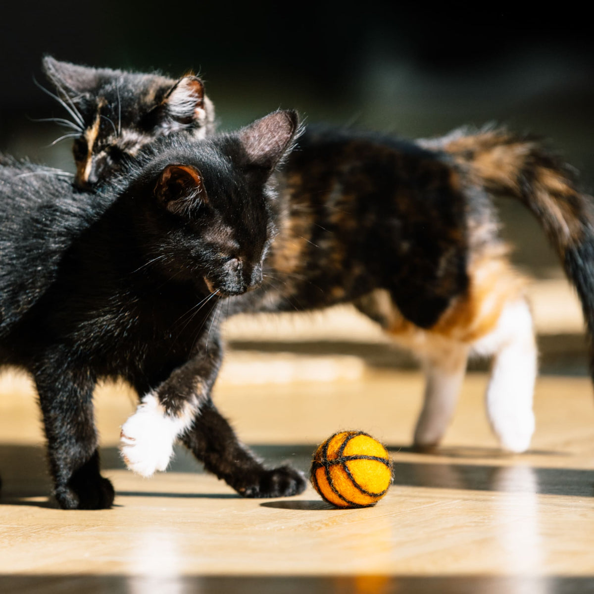 SUPER BALLS Jouet pour chat