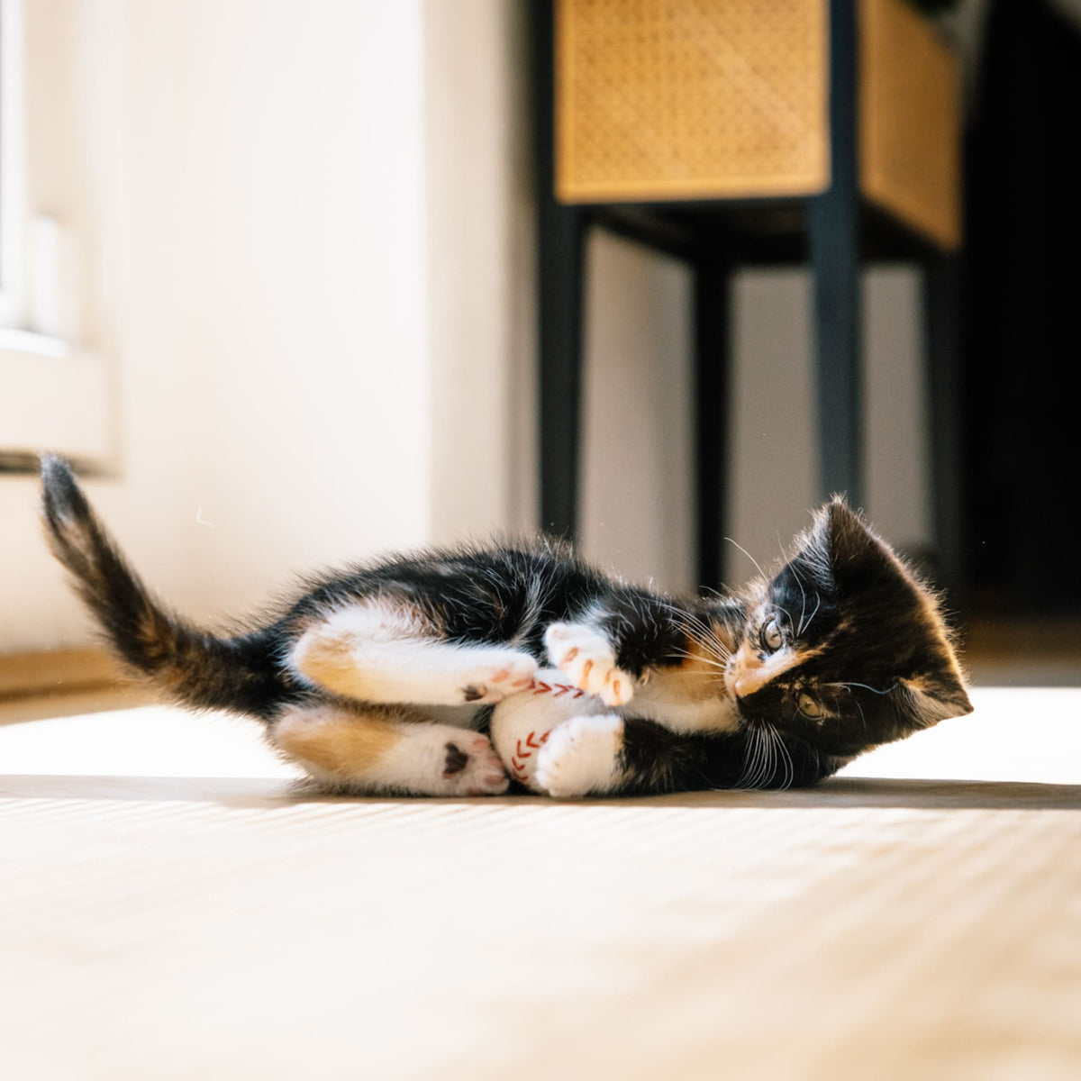 SUPER BALLS Jouet pour chat