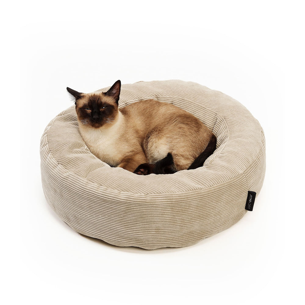 Lit pour chat NEST en sable, un chat siamois allongé de tout son long dans le lit douillet en velours côtelé