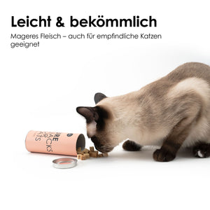 Siamkatze frisst kleine gefriergetrocknete Katzenhappen neben einer umgekippten Dose vor weißem Hintergrund, Text: „Leicht & bekömmlich“.