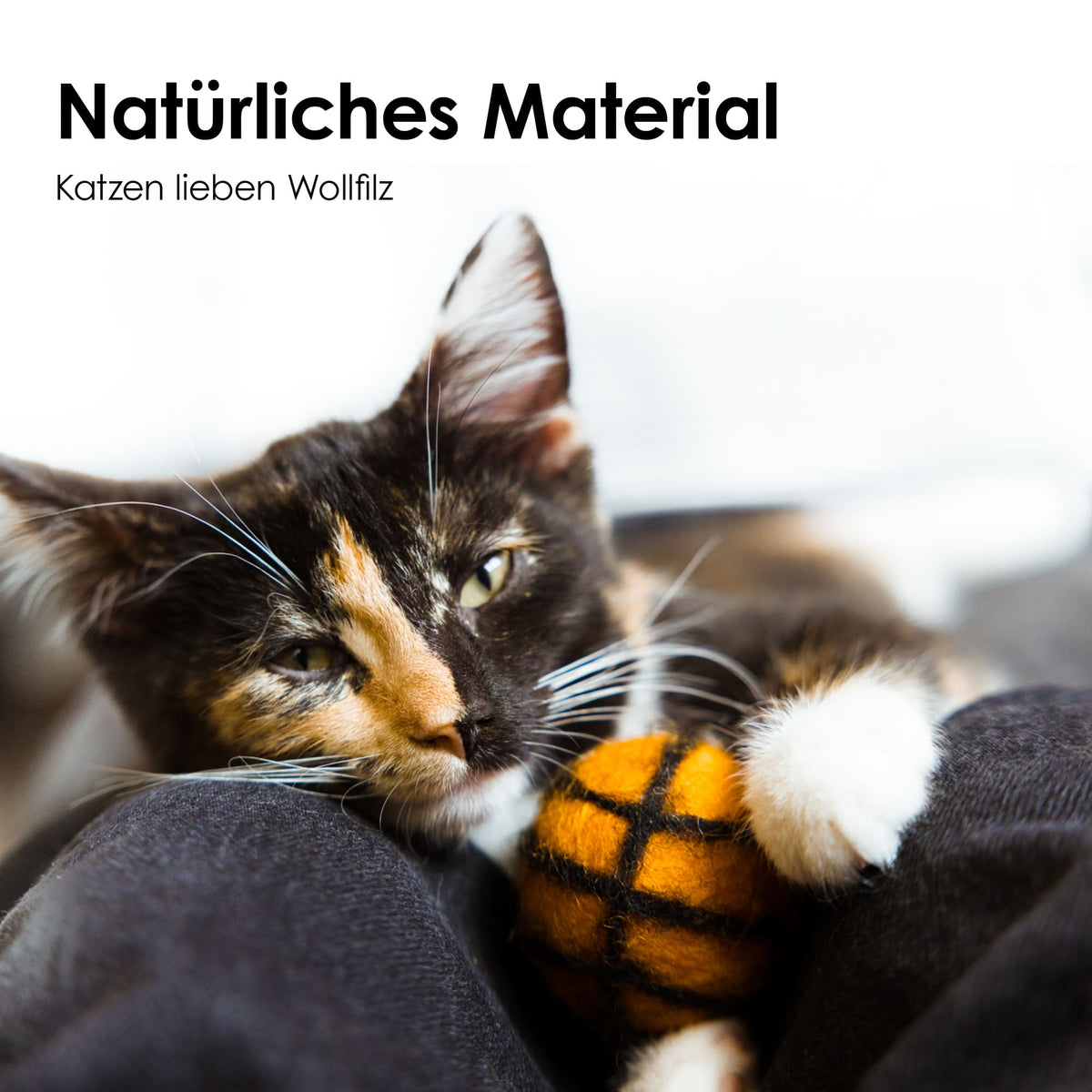 SUPER BALLS Jouet pour chat